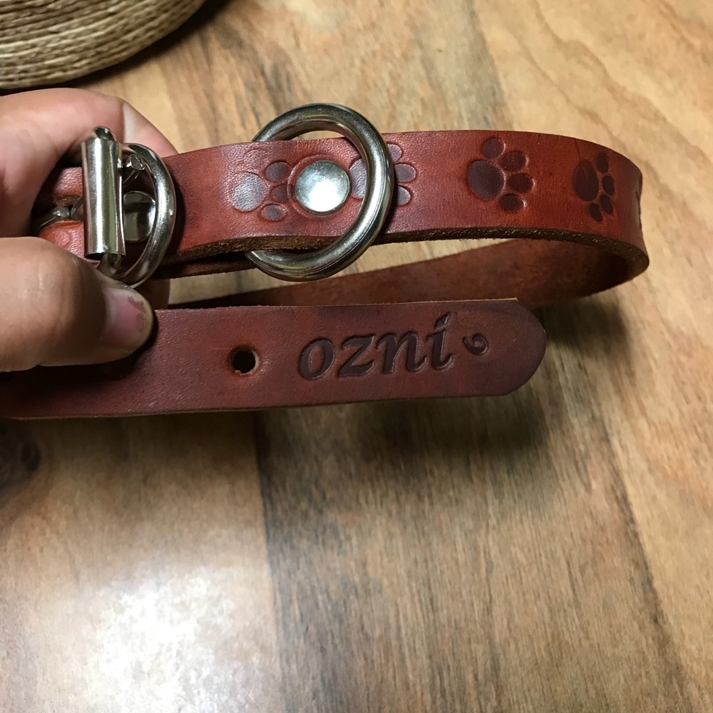 Dog Leather Collar